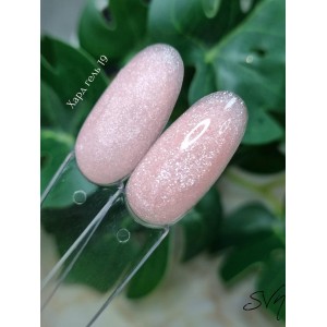 SVN Hard Gel Світловідбивний №19, 50г. Photo 2